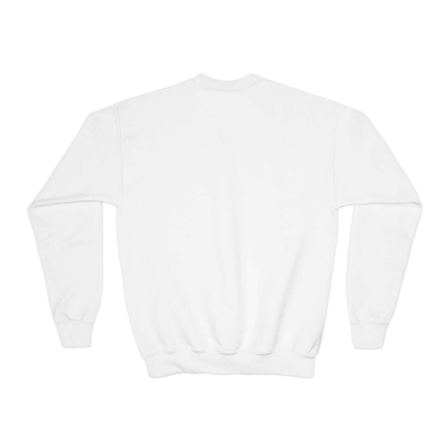 YOUTH Crewneck Sweatshirt