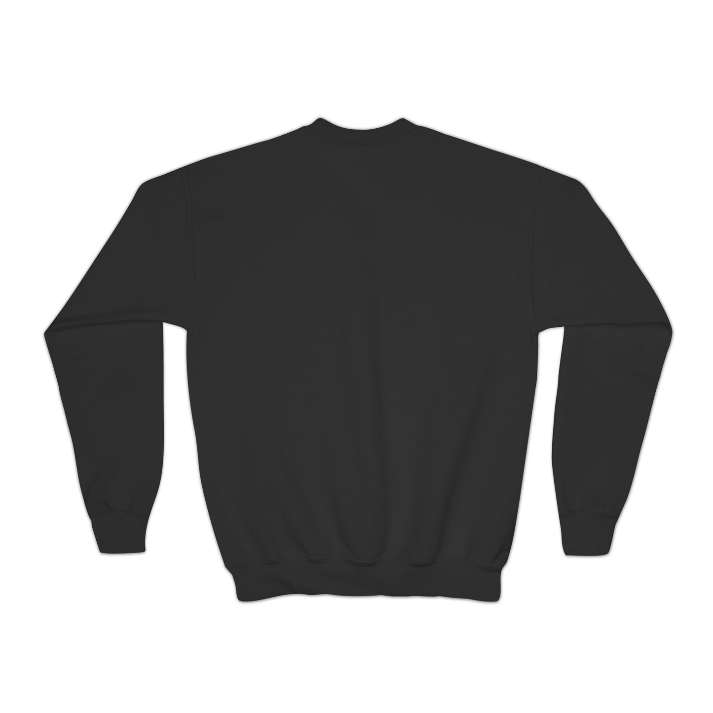 YOUTH Crewneck Sweatshirt