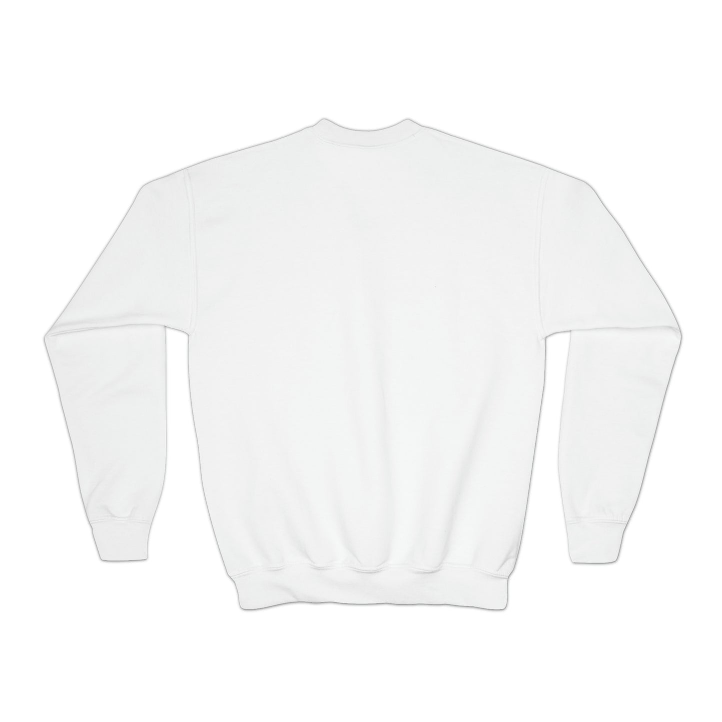 YOUTH Crewneck Sweatshirt